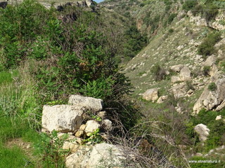 otta del Drago23-09-2017 10-04-37